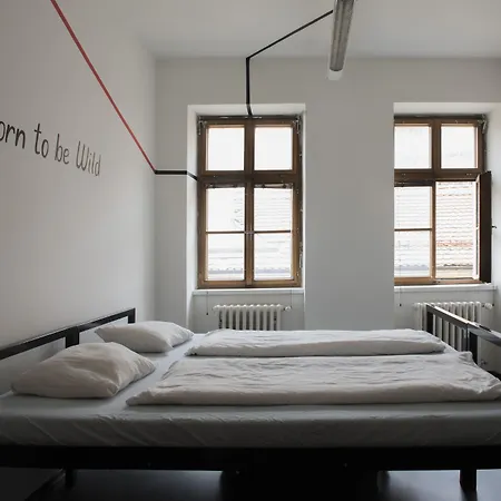 Hostel Eleven-2